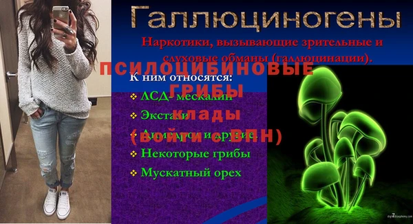 спайс Володарск