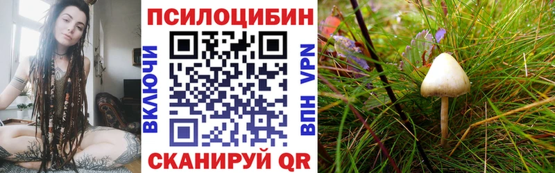 Галлюциногенные грибы Psilocybine cubensis Лермонтов